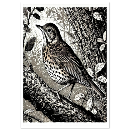 This artwork captures the Song Thrush in its natural woodland setting, highlighting the bird’s distinctive markings and posture. 